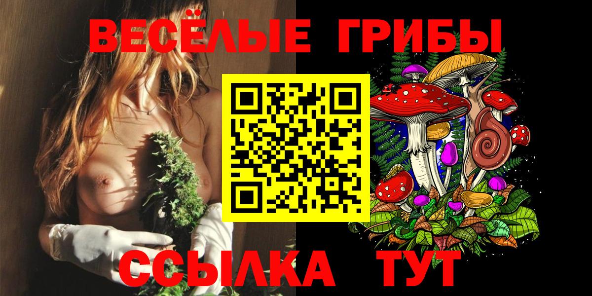 Галлюциногенные грибы ЛСД  Псилоцибиновые грибы прущие грибы  Лосино-Петровский  Вход с VPN 