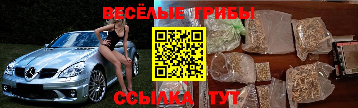 А ПВП Лосино-Петровский